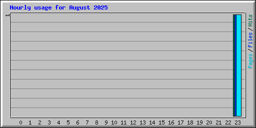 Hourly usage for August 2025